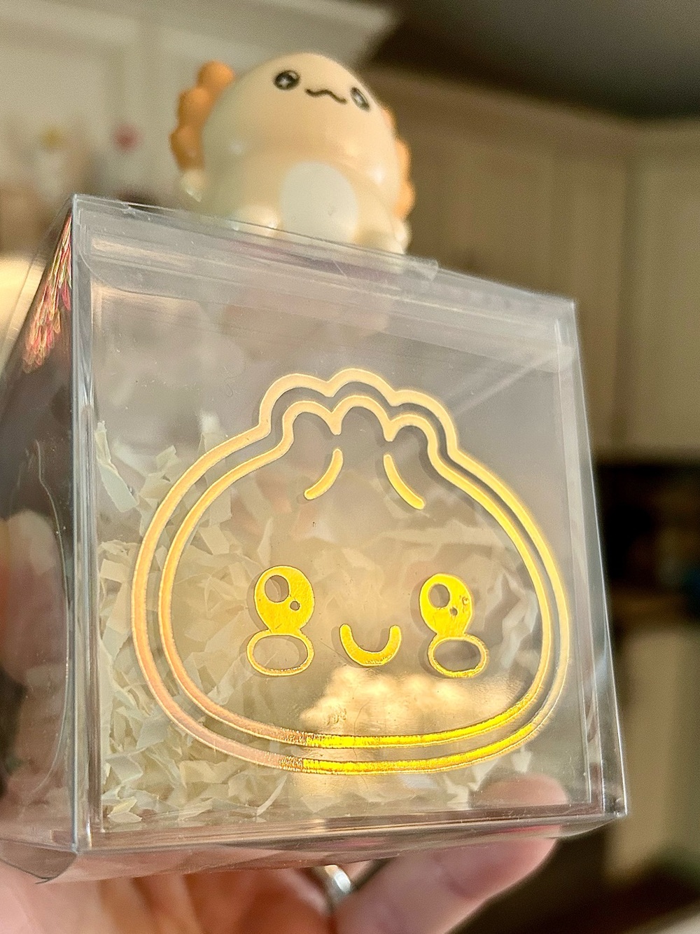 RMS Tie Dye Mystery Dumpling and Custom Dumpling case Set, NEW! - Picture 4 of 4